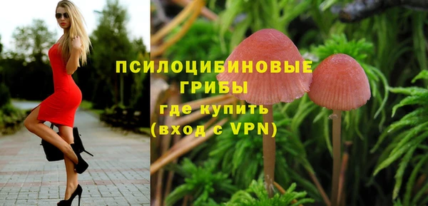тгк Алзамай
